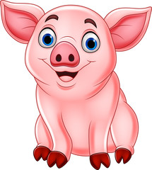 Cute pig cartoon
