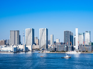 Obraz na płótnie Canvas 東京スカイツリーと湾岸エリアのタワーマンション
