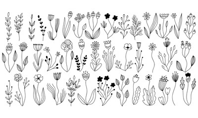 vector botanical collection of floral and herbal elements. isolated vector plants, branches and flowers in ink sketch design. hand drawn botanical doodle set for cards, invitations, logo, diy projects © chloes_illustrations