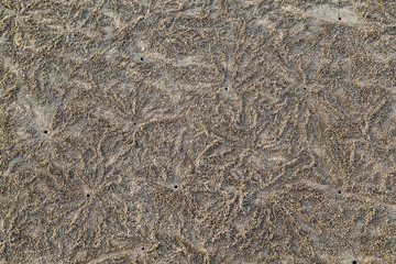 Fototapeta na wymiar Textures on the sand