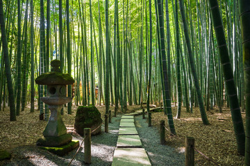 鎌倉　報国寺　竹の庭