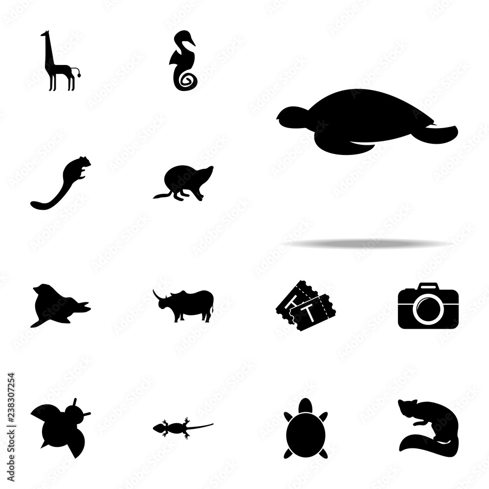 Poster silhouette of a turtle icon. zoo icons universal set for web and mobile