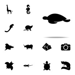 silhouette of a turtle icon. zoo icons universal set for web and mobile