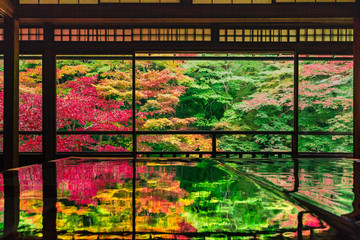 秋の紅葉　瑠璃光院