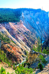 Yellowstone Canyon, Red Walls