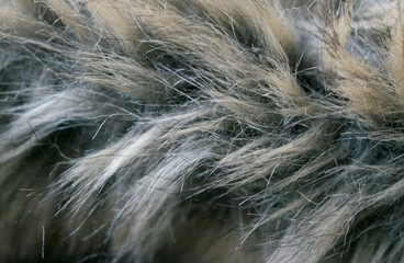Artificial fur background closeup picture.