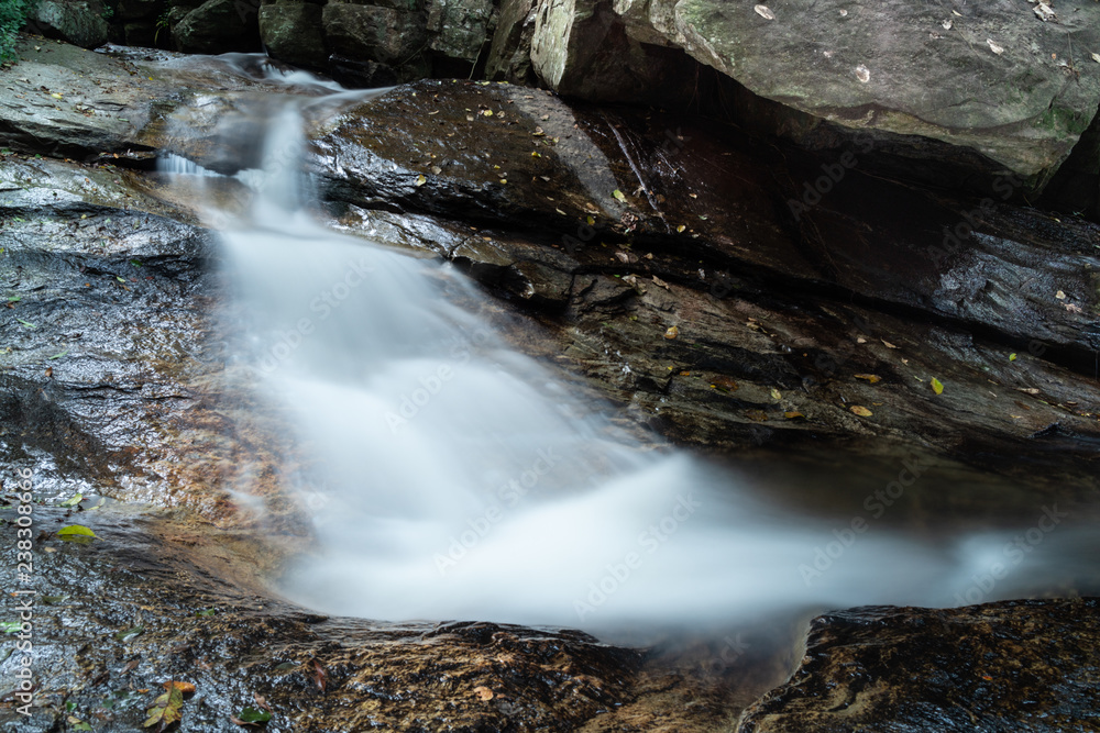 Canvas Prints flowing water in the forest around chiang mai