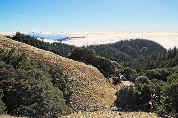 View of the San Francisco Bay Area from the top of Mountain Tamalpais in the Marin County Area, blue sky, fogs covering the bay area