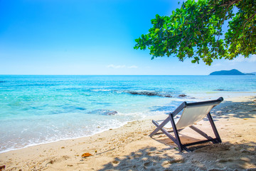 Beach Chair is located under the tree.