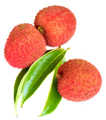 litchis