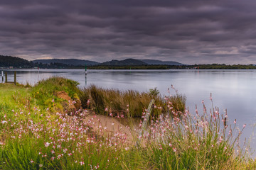 Cloudy Skies and Wildflowers Waterscape