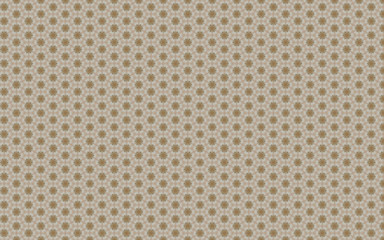 Fototapeta premium Geometric brown and light octagonal pattern