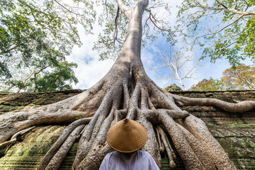 One person looking at Ta Prohm famous jungle tree roots embracing Angkor temples, revenge of nature...