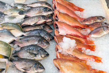 Fresh fish for sale at a market in London, Great Britain