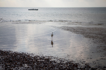 Mozambique