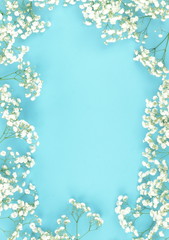 bouquets of a white gypsophila flowers on a pale blue background. top view. copy space. Holiday concept. Pastel colors