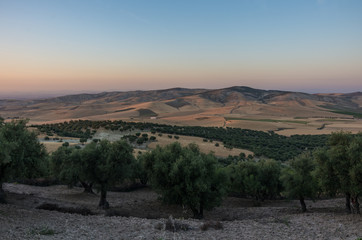 Hills near Meknes and Fez. Sunset landscape. Morocco