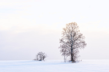 picturesque view of snow-covered field at winter day 