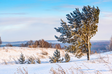 picturesque view of snow-covered field at winter day 