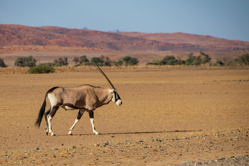 2018-10 Namibia