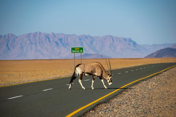 2018-10 Namibia