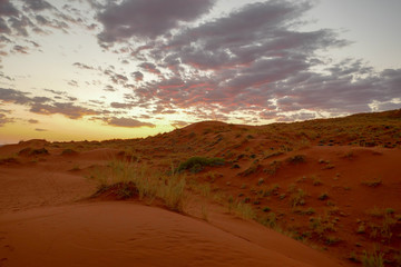 Fototapeta premium 2018-10 Namibia