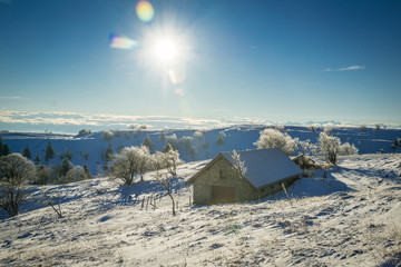 Paysage hivernal