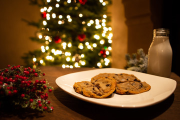 Christmas milk and cookies waiting for santa with tree and lights in background