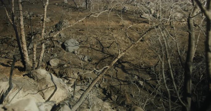 Gimbal shot of fire damage caused by Thomas Fire in Montecito hills Dec 2017. Santa Barbara county, California