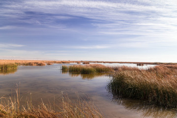 Lake in the steppe of kazakhstan in the autumn.