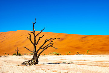 2018-10 Namibia