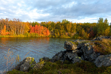 View of the autumn forest and the surface of the lake. Beautiful autumn landscape with water and bright vegetation. Iceland. Europe