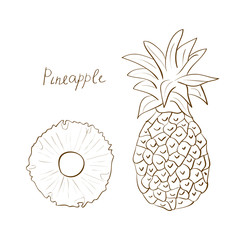 A pineapple. Exotic fruit. Sketch. Doodle. Tone images. White background.
