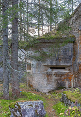 Ruine der Festung Landro, Südtirol 