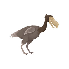 Dodo bird with small wings and large beak. Extinct creature from ice age. Flat vector for zoology book