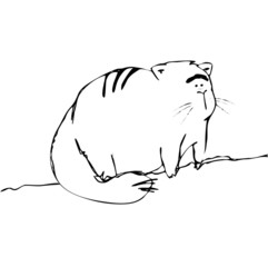Cat Cartoon with White Backgorund