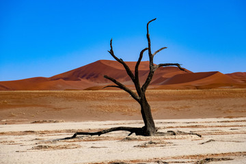 2018-10 Namibia