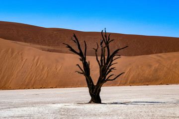 2018-10 Namibia