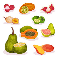 Detailed flat vector set of various exotic fruits. Vegetarian nutrition. Organic and tasty food. Healthy eating