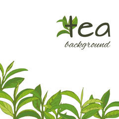 green tea logo - 238318201