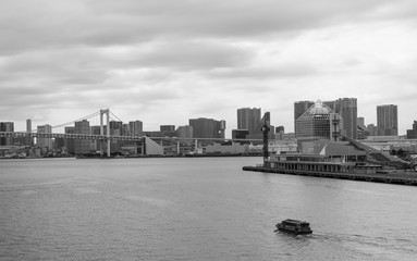 Fototapeta premium 東京ベイエリアの風景