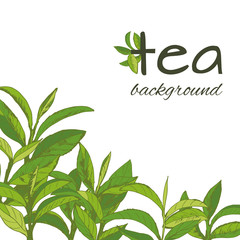 green tea logo - 238318277