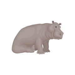 Flat vector design of sitting adorable hippo. Large African animal. Wild creature. Fauna theme