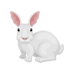 Fototapeta na wymiar Flat vector icon of white rabbit, side view. Domestic or wild hare. Animal with long pink ears and short tail