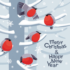 Fototapeta na wymiar Funny Christmas Bullfinches vector