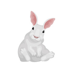 Fototapeta na wymiar Funny rabbit sitting on floor. White hare with cute muzzle. Animal with long pink ears. Flat vector icon