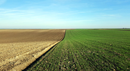 Fototapeta na wymiar young green wheat and plowed field farmland landscape 