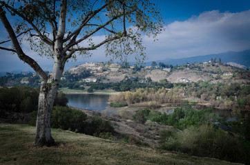Fototapeta na wymiar landscape of a lake 