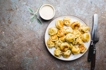 Delicious fried dumplings