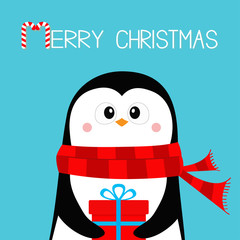 Merry Christmas. Penguin holding gift box present. Red scarf. Happy New Year. Cute cartoon kawaii baby character. Arctic animal. Flat design. Hello winter. Blue background.